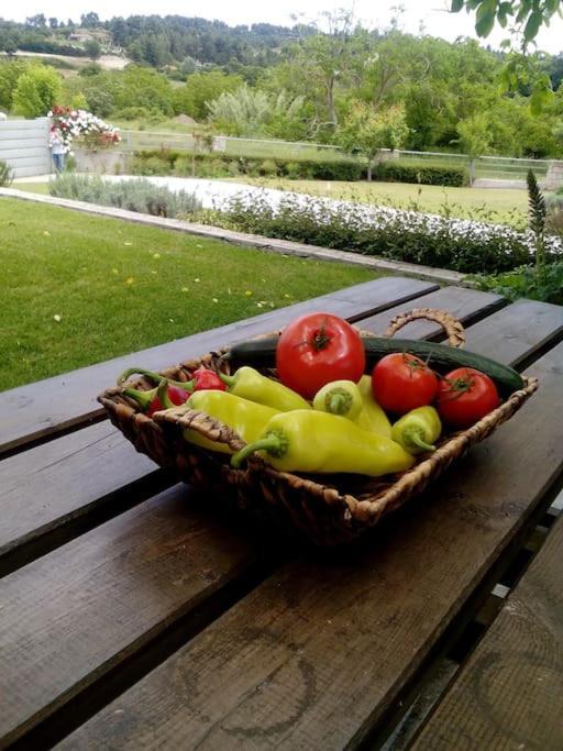 Luxury Villa Kassandrino Kassandrinon Екстер'єр фото